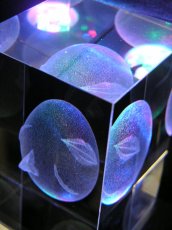 Photo4: No. 100 Crystal Art: Beherit *sold out (4)