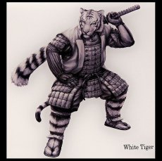 Photo2: SAMURAI ANIMALS-  Acrylic Panel Series -White Tiger  *Stopped Production (2)