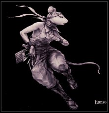 Photo2: SAMURAI ANIMALS-  Acrylic Panel Series -Hanzo *Stopped Production (2)