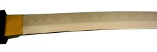 Photo4: Japanese Ninja Sword -Eight Sanskrit Characters Katana- (4)