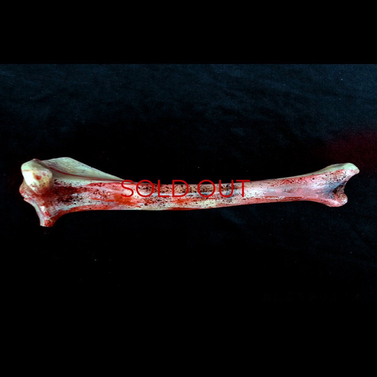 Photo5: No. 429 Trophy* Bloody Version (with attach of bloody bone)*Christmas Special Present Offer*Sold Out!!! (5)