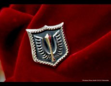 Photo1: [Order until Feb 12.] Emblem of the Hawks Silver Badge (1)
