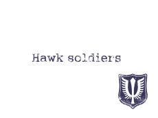 Photo3: [Only Until Sep 4!] The Hawk Soldiers T-Shirt(short sleeves) (3)