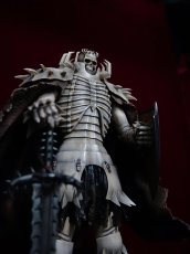 Photo8: 髑髏の騎士2025  Skull Knight 2025  (8)