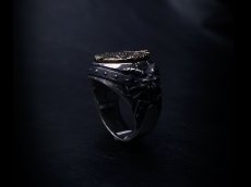 Photo3: Zodd Silver Ring (attachment of Zirconia stone-filled) (3)