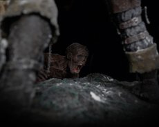 Photo6: 冬の旅路2025 -Winter Journey 2025- [Limited 50pcs] *Order Start: December 19, 1:00 PM (6)