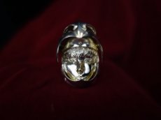 Photo2: Griffith Silver Ring Blue Eyes ver. [Limited Edition] (2)