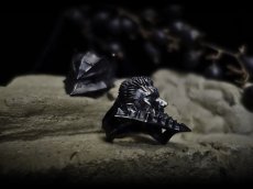 Photo11: Guts Silver Ring (with Berserker helmet) (11)