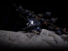 Photo12: Guts Silver Ring (with Berserker helmet) (12)