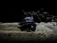 Photo8: Guts Silver Ring (with Berserker helmet) (8)