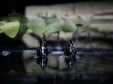 Photo1: Beherit Silver Chain Necklace  / Black Ruthenium ver. (Egg of the King/Eclipse) (1)