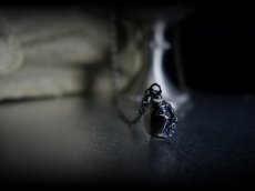 Photo20: Beherit Silver Chain Necklace  / Black Ruthenium ver. (Egg of the King/Eclipse) (20)