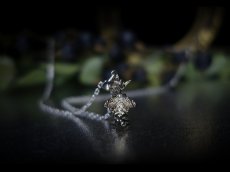 Photo14: Puck Necklace Silver Version (Fairy Puck / Kuri Puck ) (14)